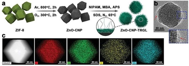 四川大學(xué)程沖、趙長生團隊開發(fā)尺寸可變碳納米材料用于化學(xué)聯(lián)合光熱抗菌合成材料
